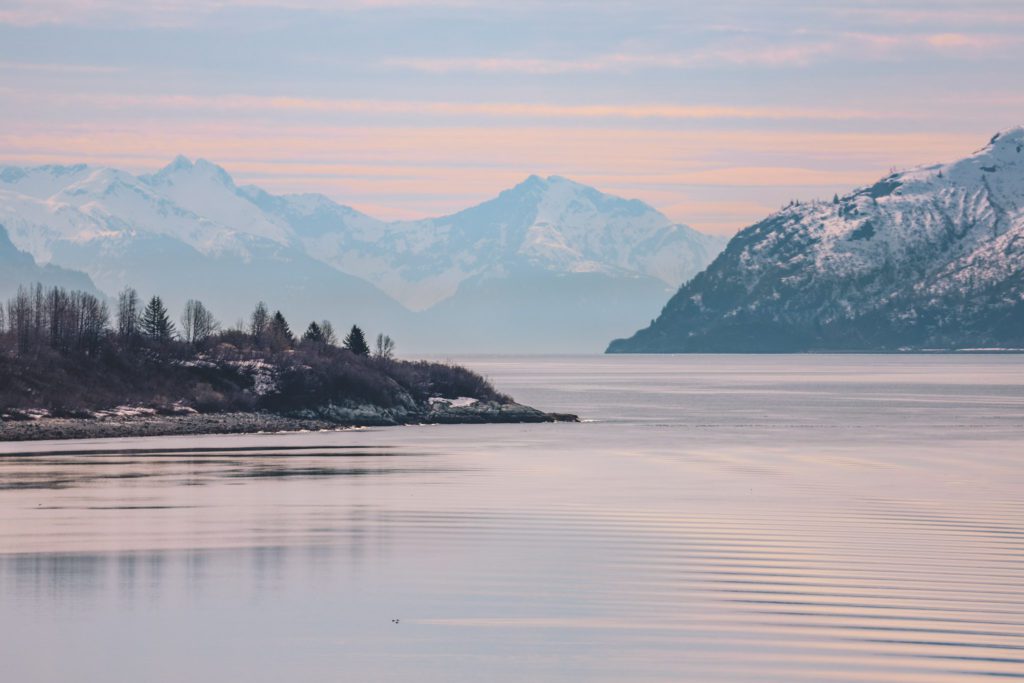 Most Epic Alaska Cruise Excursions | Glacier Bay National Park #simplywander