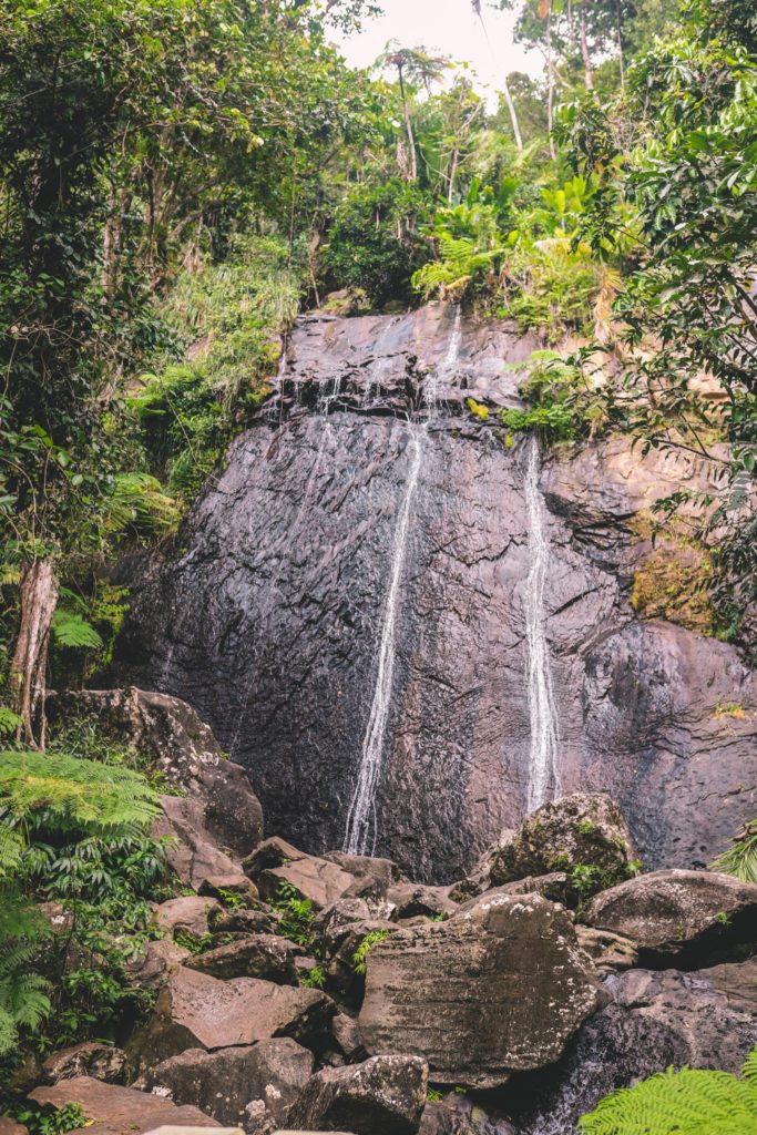 7 Things to do in El Yunque National Forest (With Photos) | La Coca Falls #simplywander