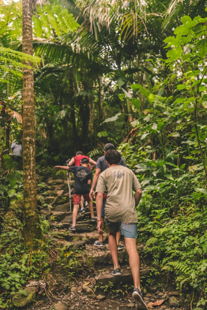 7 Things to do in El Yunque National Forest (With Photos) | Juan Diego Creek Falls #simplywander