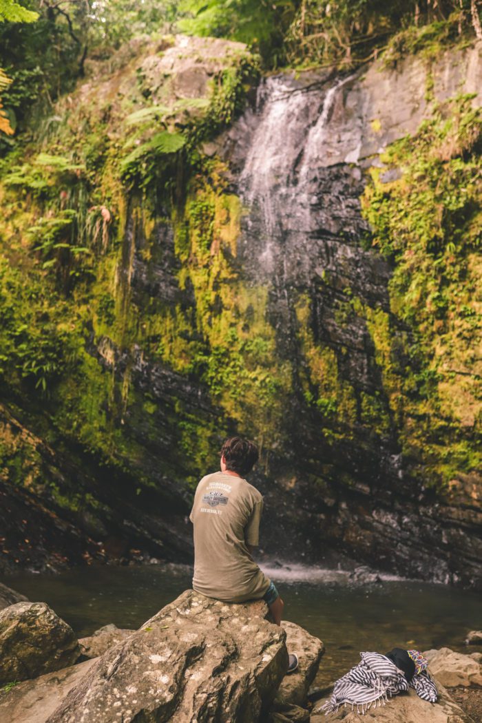 Visiting El Yunque National Forest Puerto Rico | Simply Wander