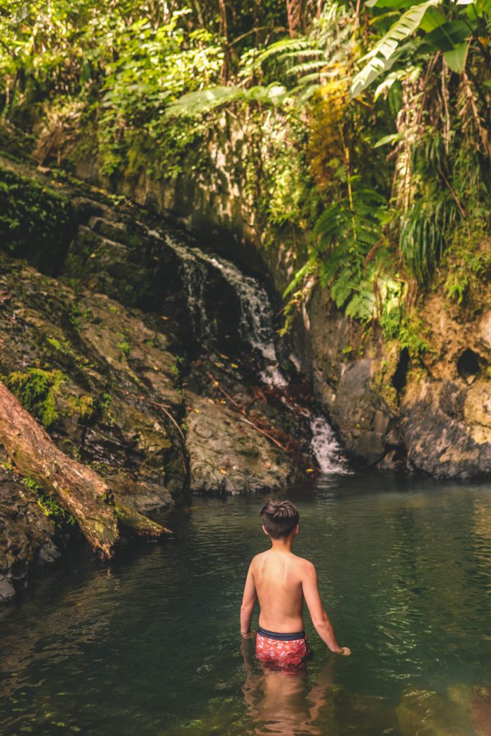 7 Things to do in El Yunque National Forest Puerto Rico (With Photos)