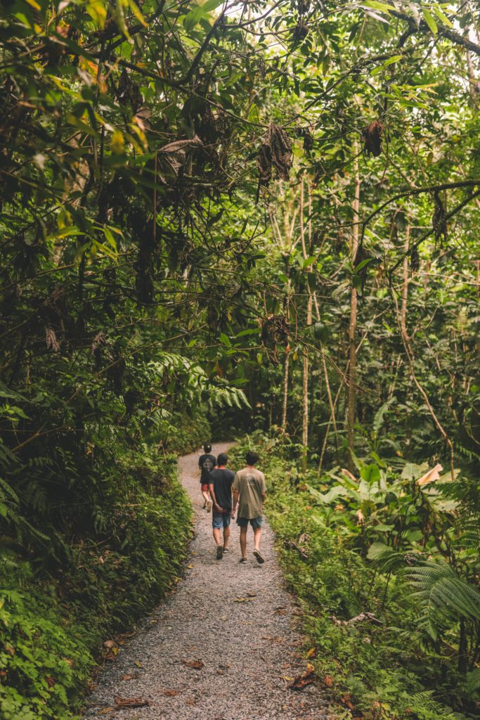 7 Things to do in El Yunque National Forest (With Photos) | Angelito Trail and swimming hole #simplywander