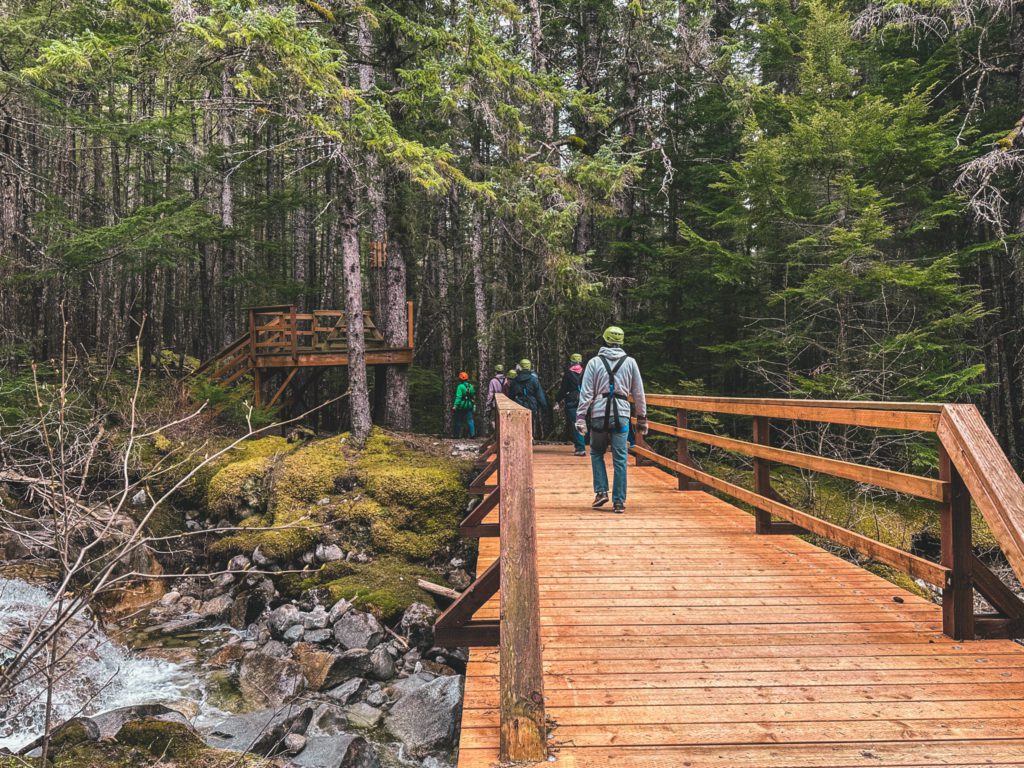 Most Epic Alaska Cruise Excursions | Best excursions in Skagway | Grizzly Falls Zipline Tour #simplywander