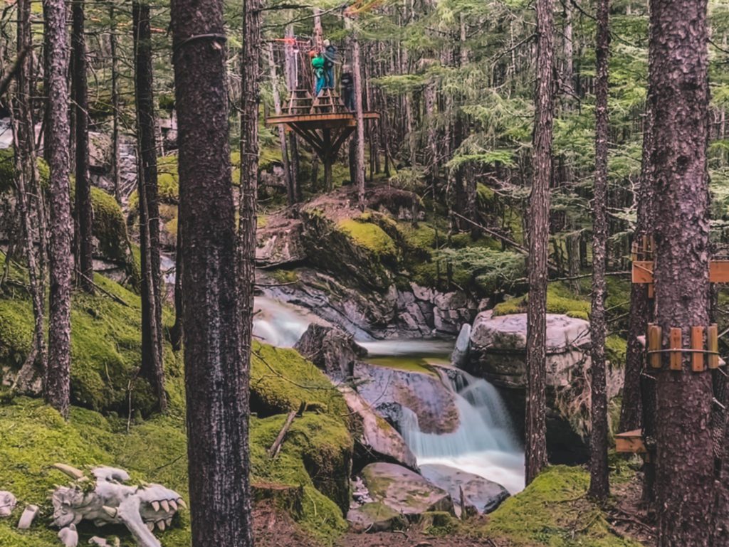 Most Epic Alaska Cruise Excursions | Best excursions in Skagway | Grizzly Falls Zipline Tour #simplywander