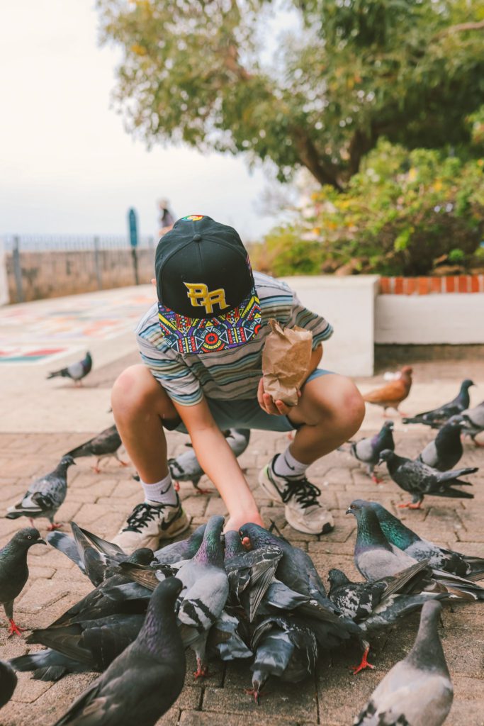 12 Things to do in Old San Juan Puerto Rico | Feed the birds at Pigeon Park #simplywander