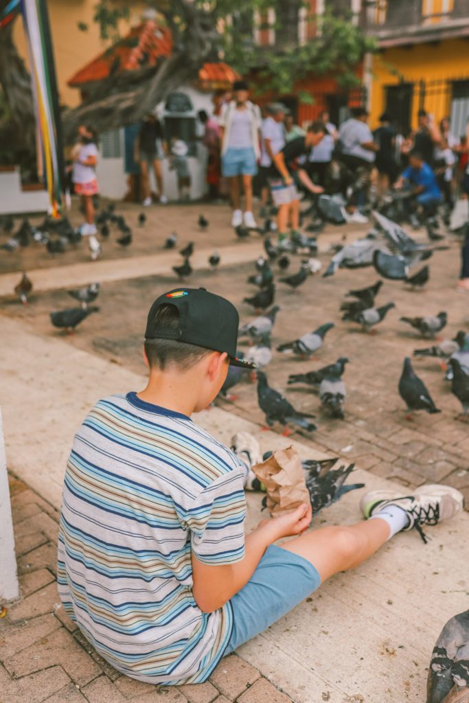 12 Things to do in Old San Juan Puerto Rico | Feed the birds at Pigeon Park #simplywander