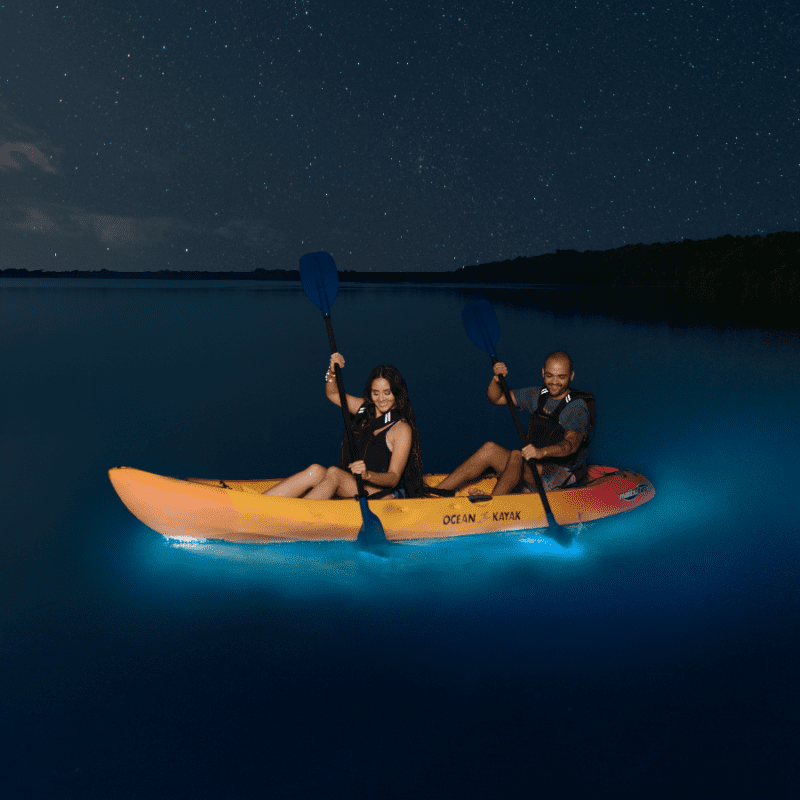 An Ambitious 7-Day Puerto Rico Itinerary | Bioluminescent Bay Tour #simplywander
