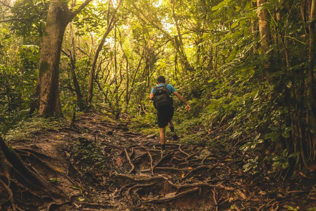 8 of the Best Hikes on Oahu | Olomana Trail #simplywander