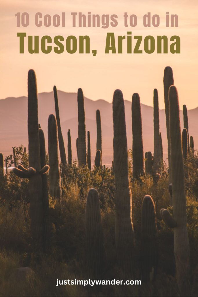 10 Cool Things to do in Tucson, Arizona | Simply Wander
