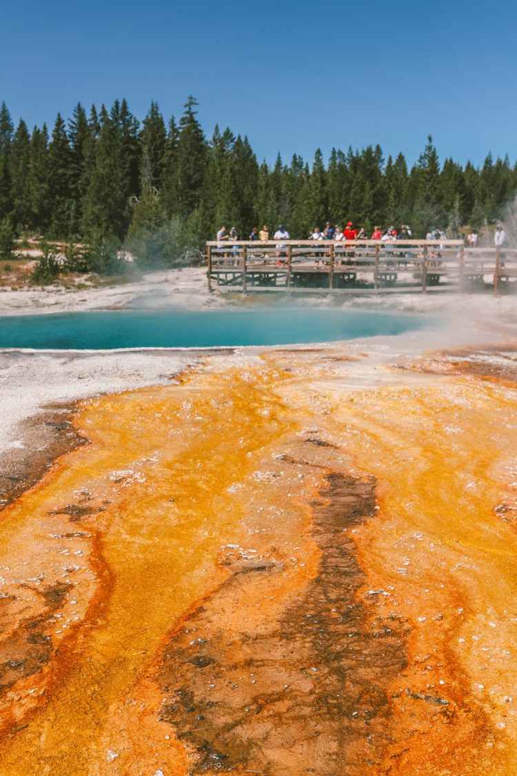 10 Things to Do in Yellowstone National Park | Simply Wander