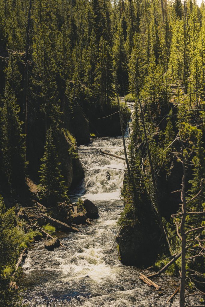 Best Things to do in Yellowstone National Park | Kepler Cascades #simplywander