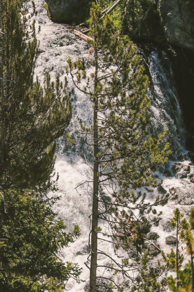 Best Things to do in Yellowstone National Park | Kepler Cascades #simplywander