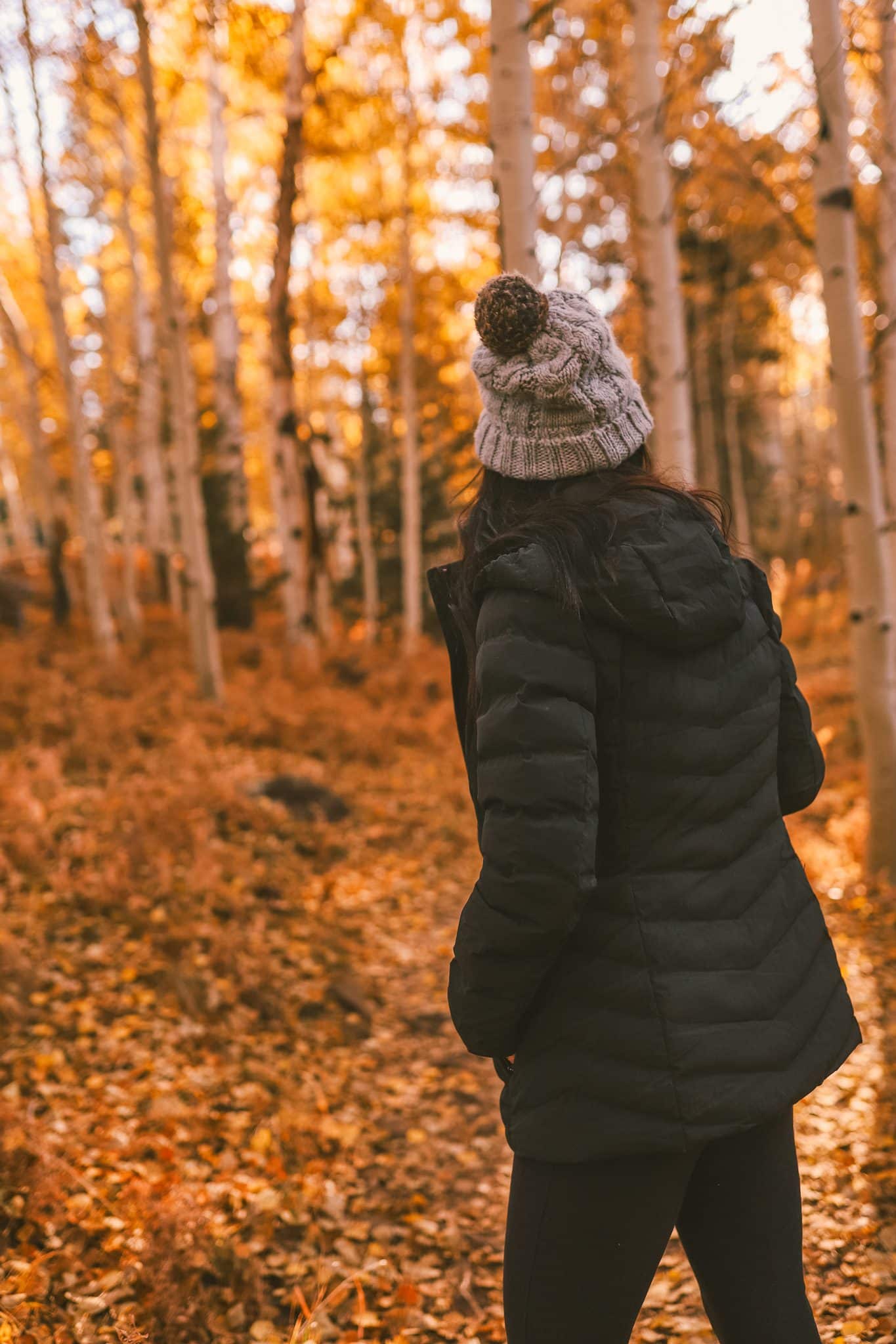 8 Places To See Fall Leaves In Arizona Simply Wander 8-places-to-see-fall-leaves-in-arizona-simply-wander