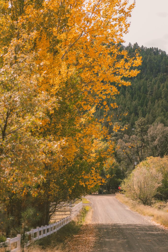 Best Places to See Fall Leaves in Arizona | Strawberry-Pine #simplywander