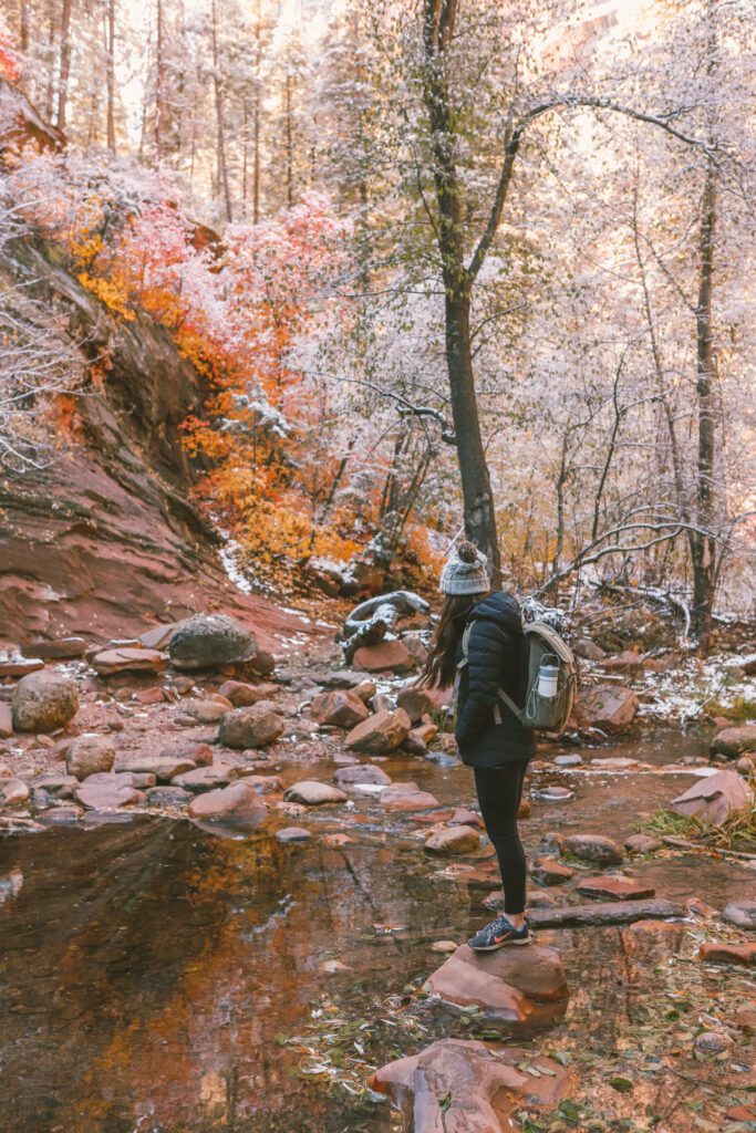 Best Places to See Fall Leaves in Arizona | Oak Creek Canyon West Fork Trail #simplywander