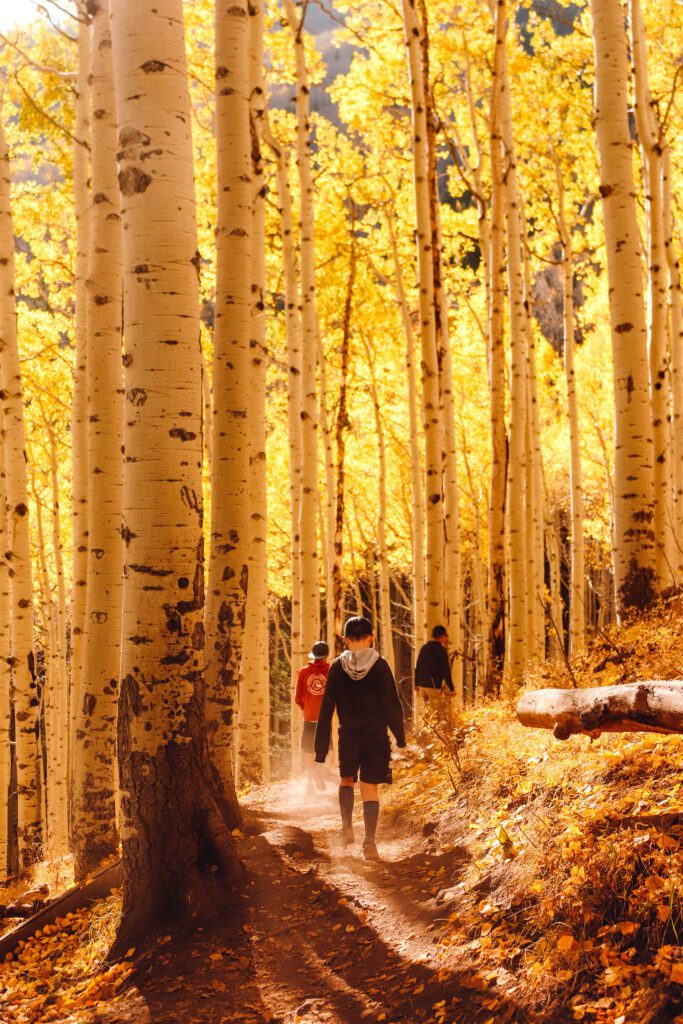 Best Places to See Fall Leaves in Arizona | Lockett Meadow Inner Basin Trail #simplywander
