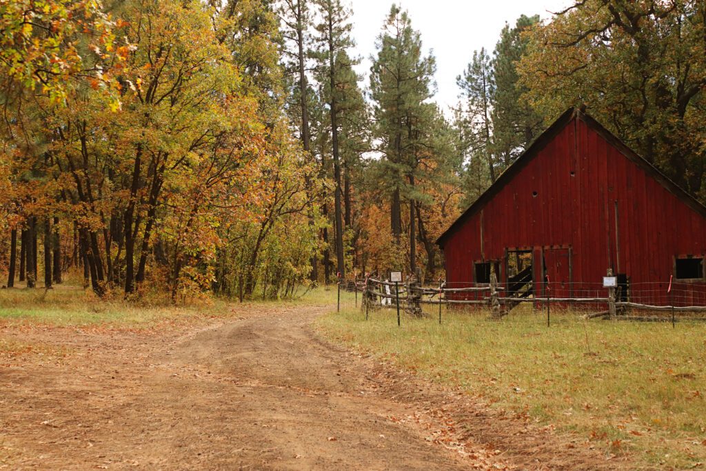 Best Places to See Fall Leaves in Arizona | Pinetop-Lakeside #simplywander