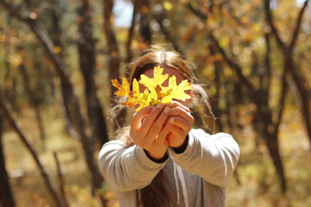 Best Places to See Fall Leaves in Arizona | Mount Baldy East Fork Trail #simplywander