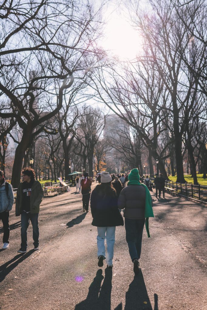12 Bucket List Things to do In New York at Christmas | Visit Central Park #simplywander