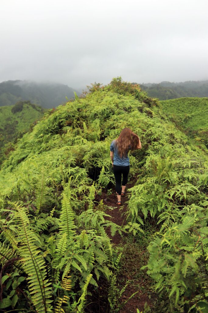 An Adventurous 7 Day Kauai Itinerary | Kuilau Ridge Trail #simplywander