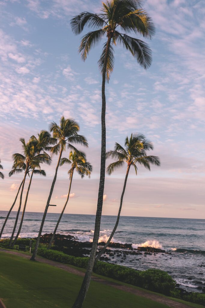 Best Places to Eat in Kauai, Hawaii | Lava Lava Beach Club #simplywander