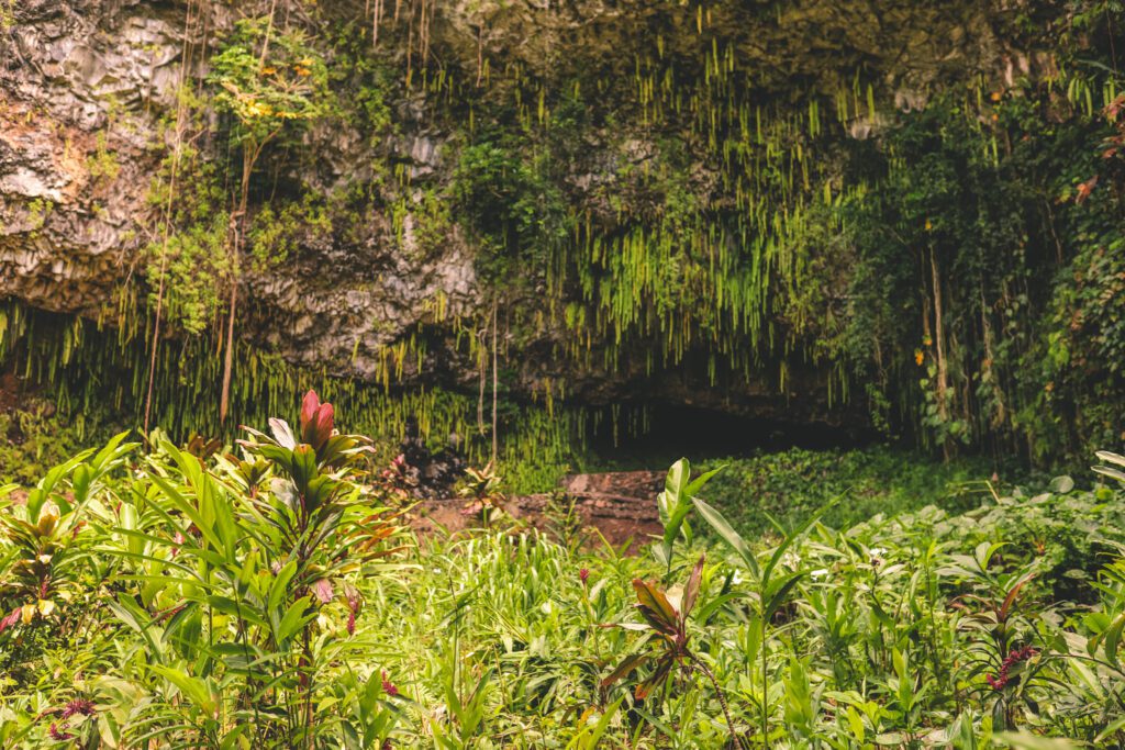 An Adventurous 7 Day Kauai Itinerary | Kayak to Secret Falls #simplywander