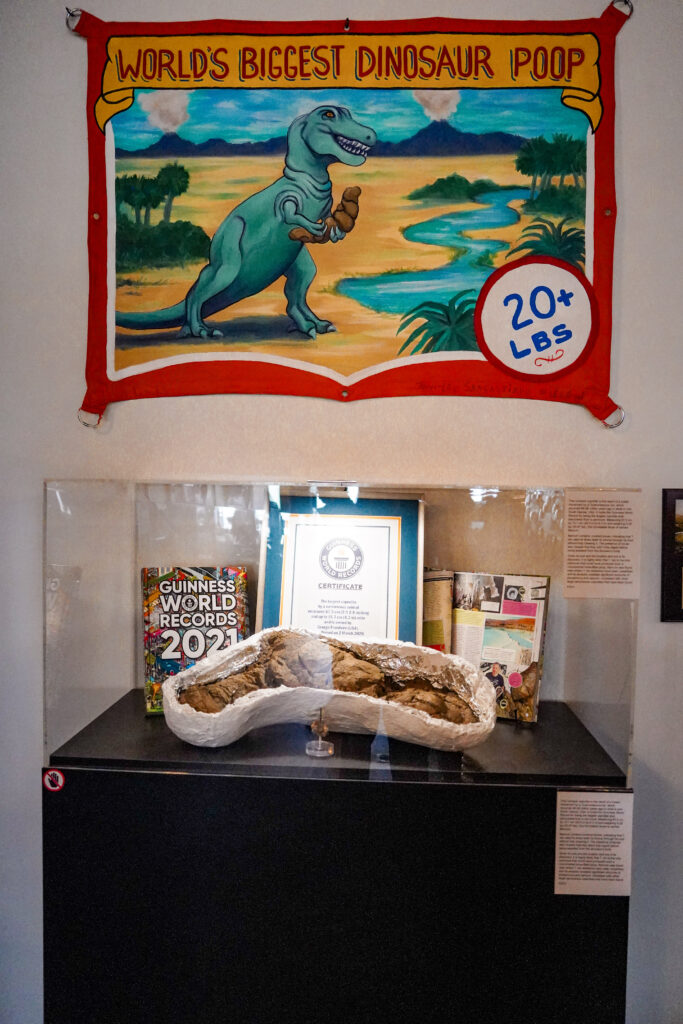 Poozeum in Williams, AZ