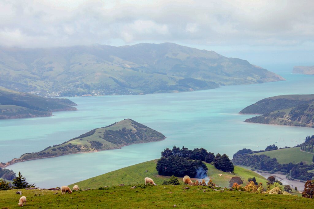 10-Day New Zealand South Island Itinerary (by a local) | Akaroa #simplywander