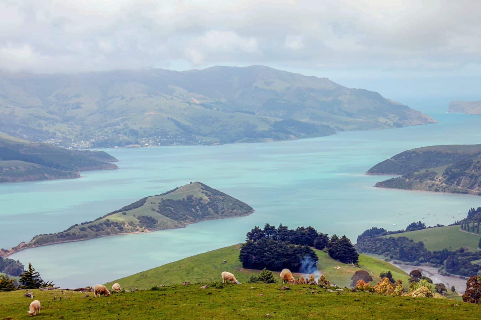 10-Day New Zealand South Island Itinerary (from a local) | Simply Wander