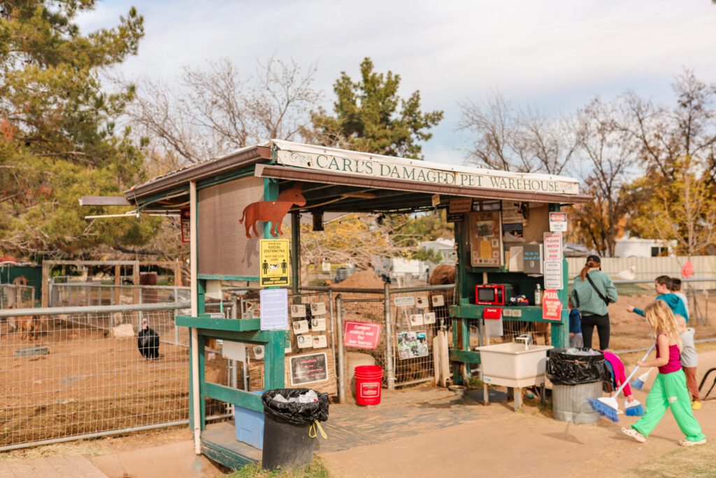 Best Things to Do in Gilbert, AZ | Carl's Damaged Pet Warehouse #simplywander