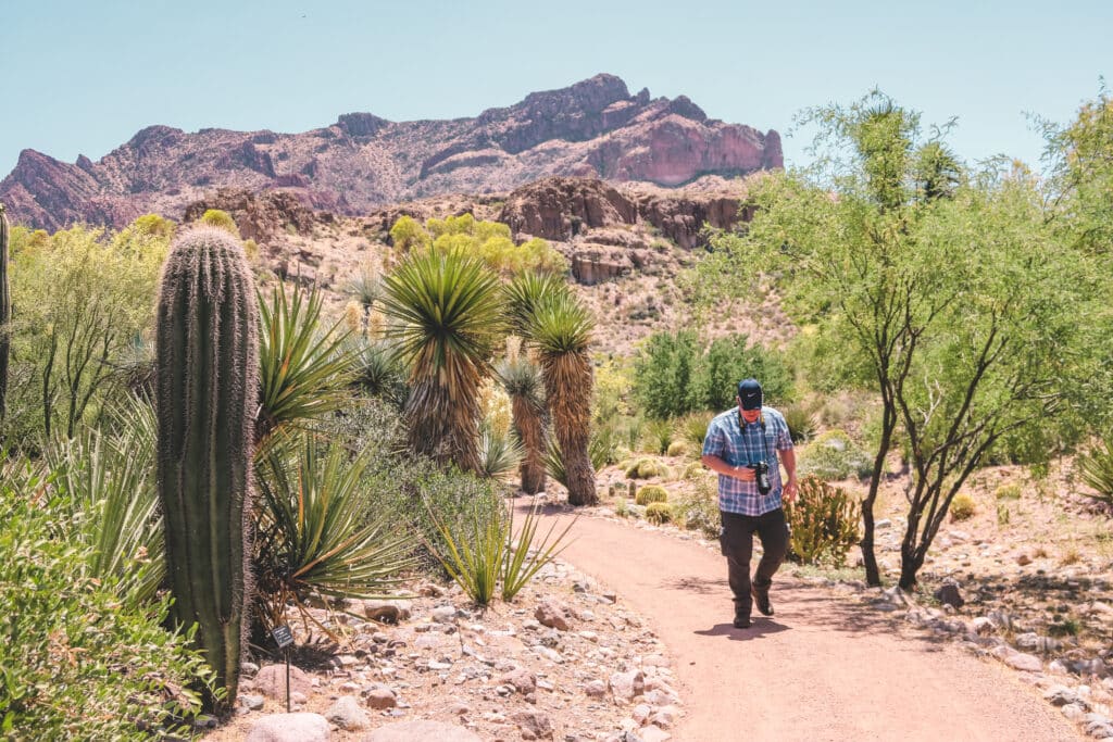 The Best Stops on the Apache Trail Scenic Drive | Boyce Thompson Arboretum #simplywander
