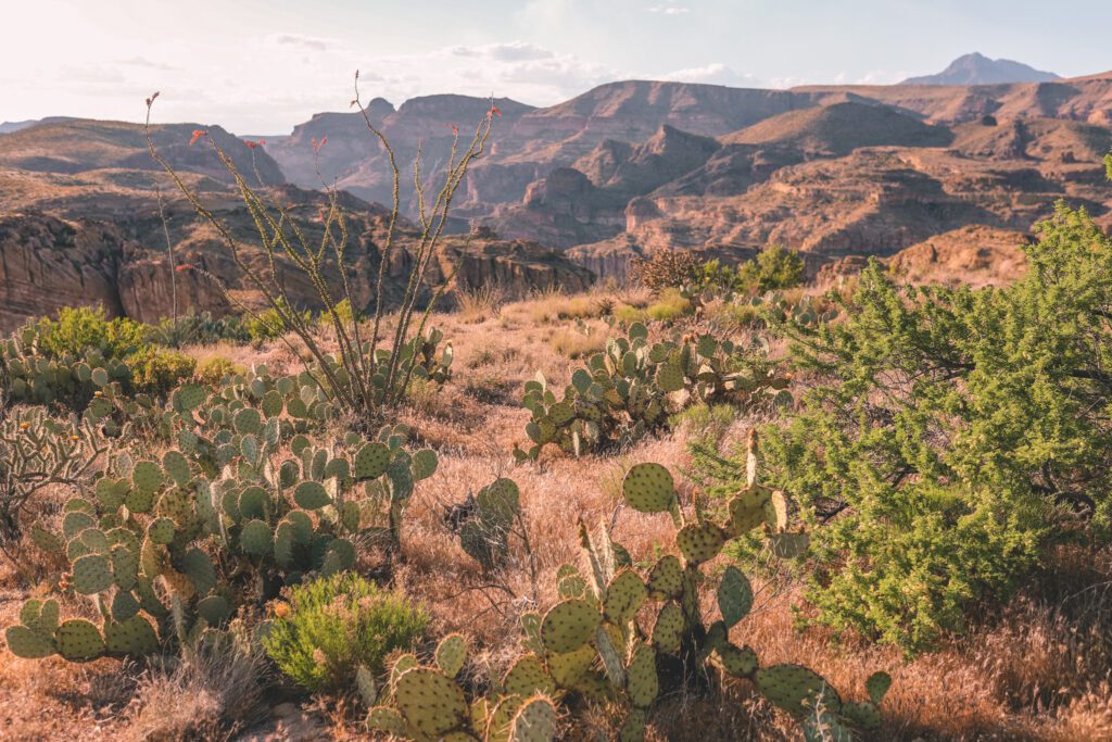 The Best Stops on the Apache Trail Scenic Drive | Fish Creek Vista #simplywander
