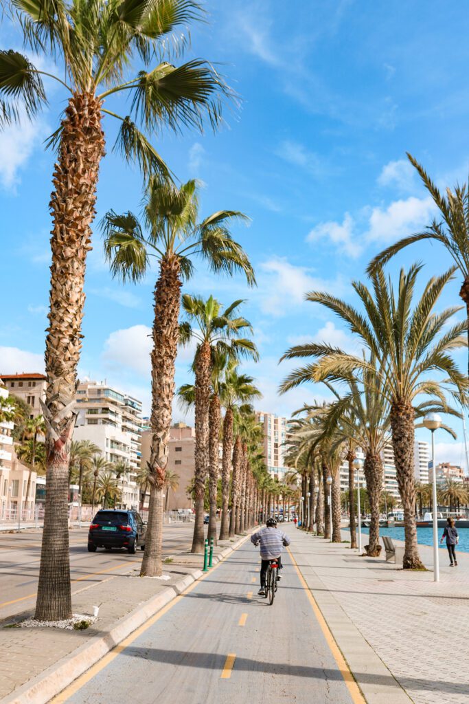 The Best Things to Do in Palma de Mallorca, Spain in One Day | Waterfront Promenade #simplywander