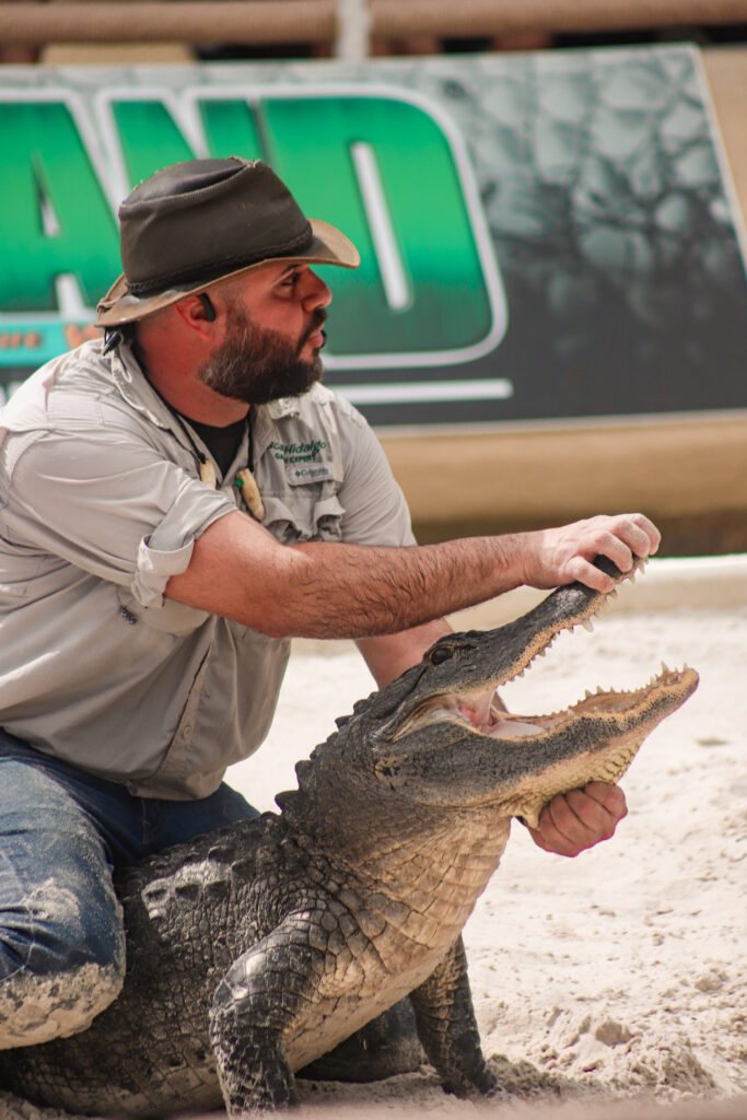 Gatorland in Orlando, Florida