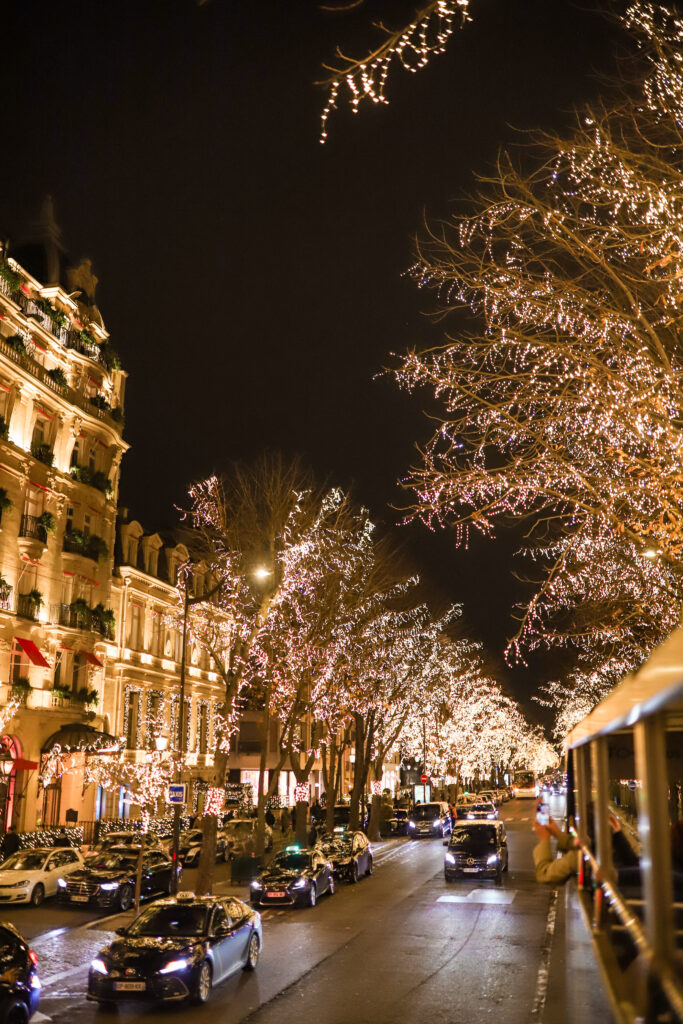 Avenue Montaigne, Paris