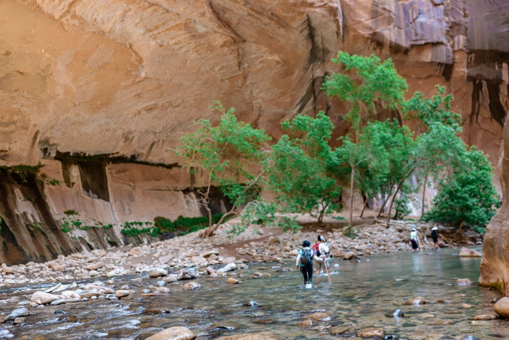 The Narrows in Zion National Park, Utah