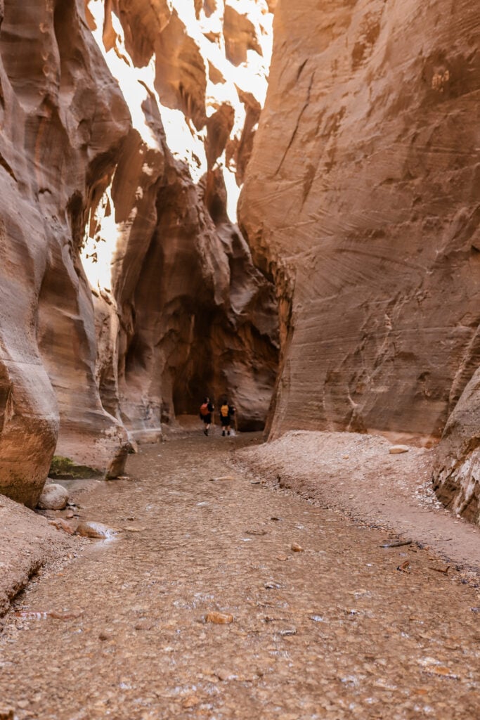 The Narrows in Zion National Park, Utah