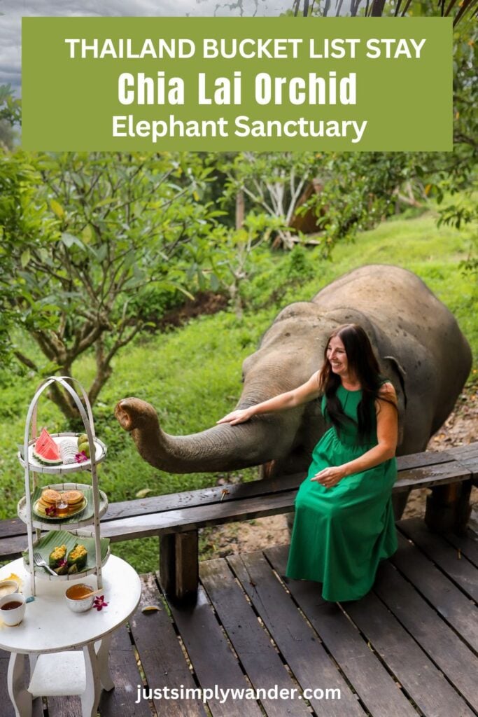 Chai Lai Orchid Elephant Sanctuary, Thailand