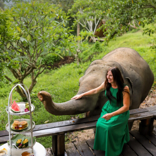 Chai Lai Orchid Elephant Sanctuary, Thailand