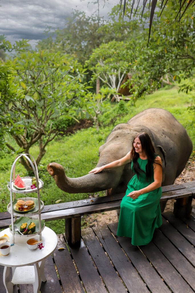 Chai Lai Orchid Elephant Sanctuary, Thailand