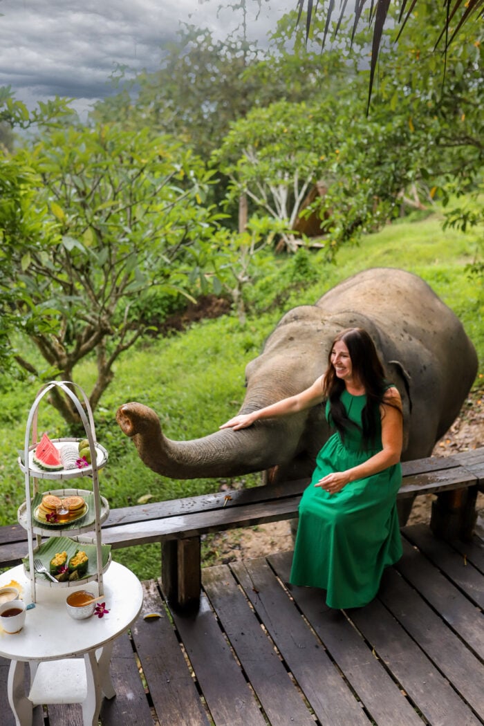 Thailand Bucket List Experience: Spend the Night at an Elephant Sanctuary