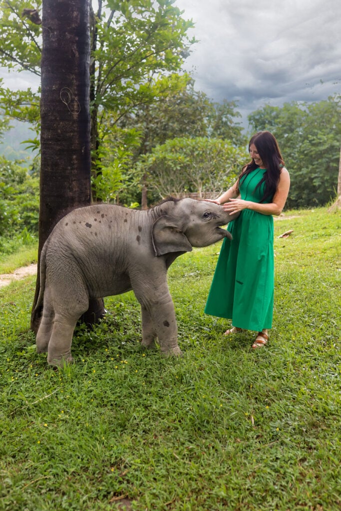 Chai Lai Orchid Elephant Sanctuary, Thailand