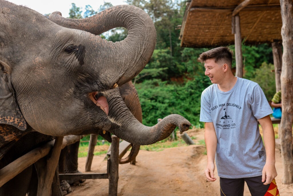 Chai Lai Orchid Elephant Sanctuary, Thailand