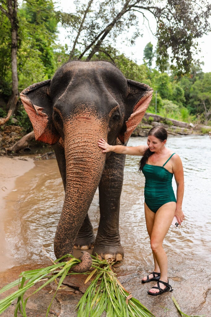 Chai Lai Orchid Elephant Sanctuary, Thailand
