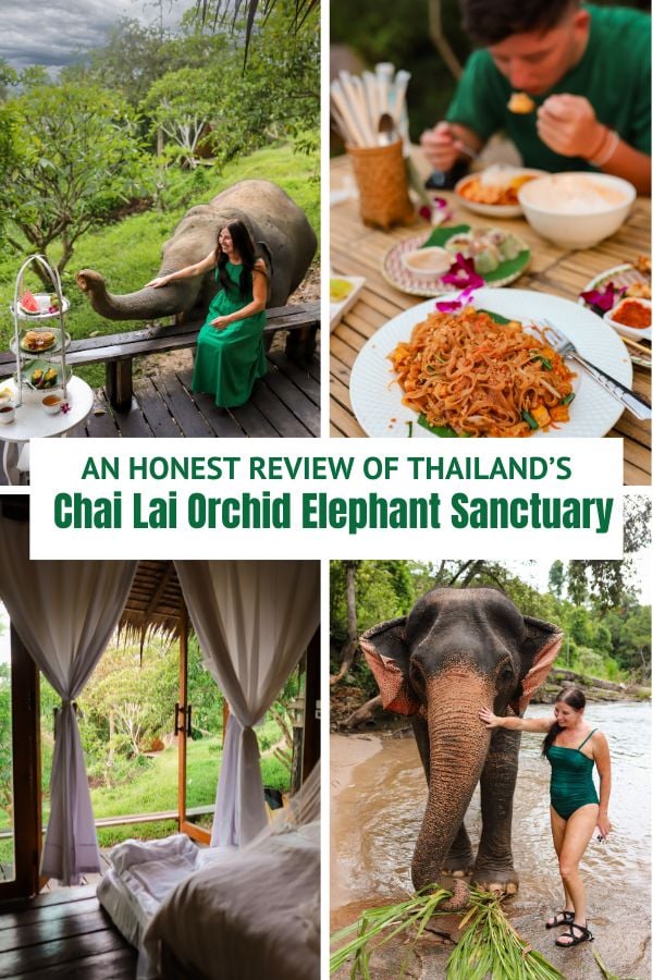 Chai Lai Orchid Elephant Sanctuary, Thailand