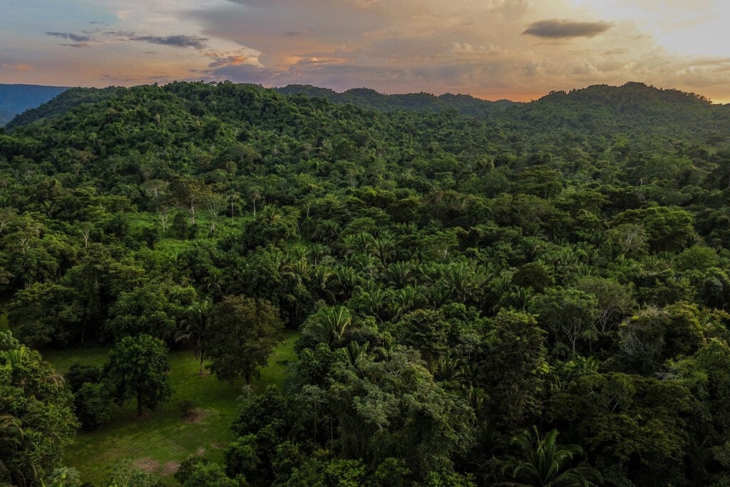 Jade Jungle Resort, Belize property photos
