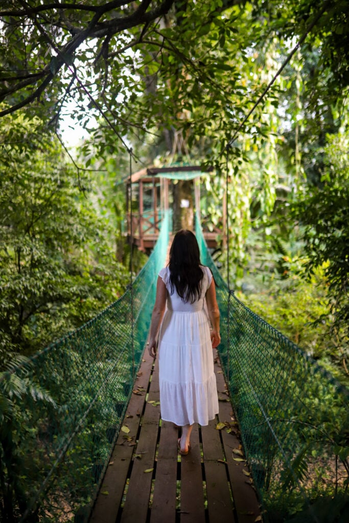 Jade Jungle Resort, Belize property photos