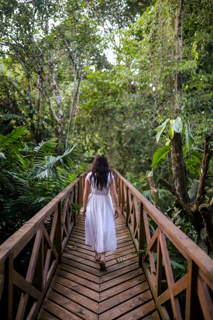 Jade Jungle Resort, Belize property photos