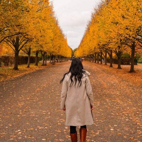 Regent's Park, London