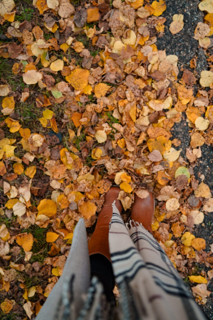 Regent's Park, London